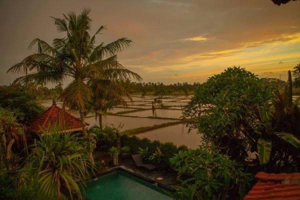 Hotel White House Ubud Exterior foto